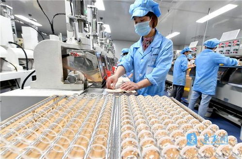 小工廠里高科技