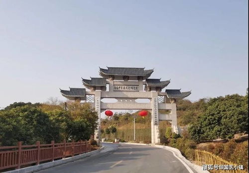 科技周開放日 嶺南中醫藥文化博覽園科普基地等你來