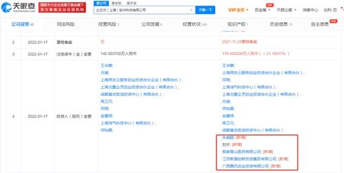 信息技術咨詢服務的價值與未來發(fā)展